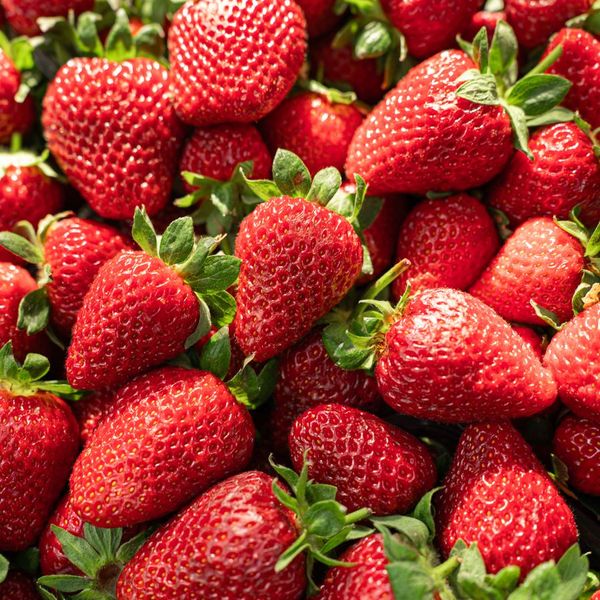 Fraises dans une barquette