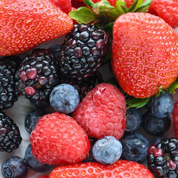 Mûres, framboises, fraises et myrtilles