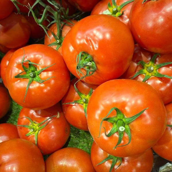 Tomates mûres en grappe